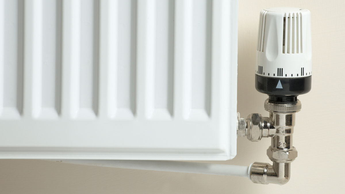 A thermostatic radiator valve (TRV) connected to a white convector radiator